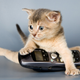 Image for article titled Hey, Ladies — Cat Calls are Flattering! Deal With It